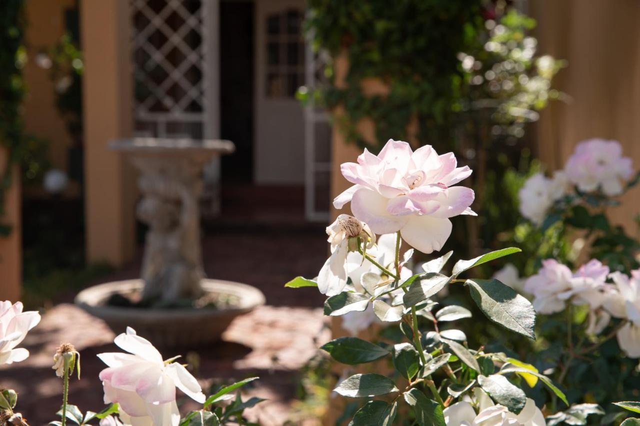 Roses And Pebbles B & B Guest House Klerksdorp Bagian luar foto